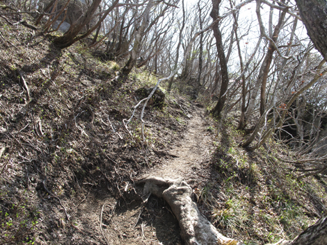 20140502hike (309)